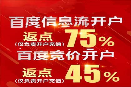 充值返点在电商平台中的运营策略分析